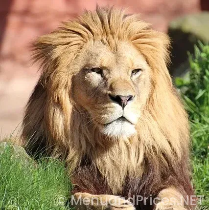 Johnny rockets hanover menu