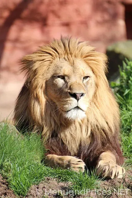 Johnny rockets hanover menu