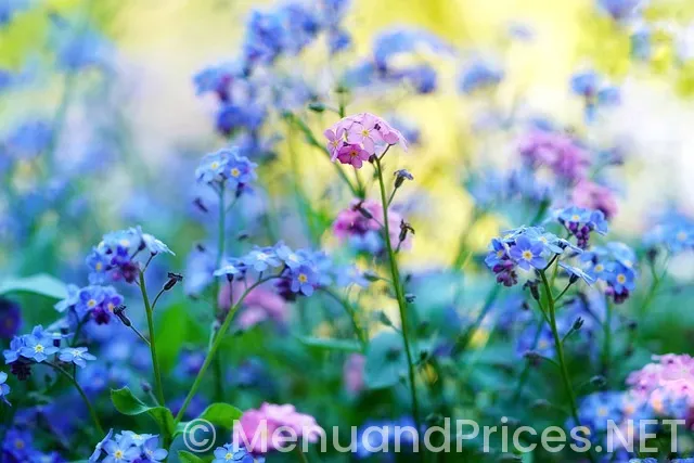 Johnny rockets hanover menu