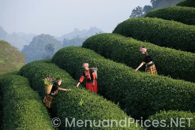 Maggiano's menu lunch