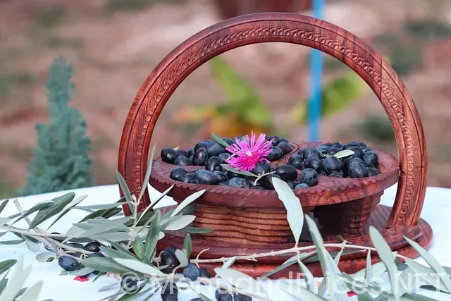 Menu for olive garden lunch