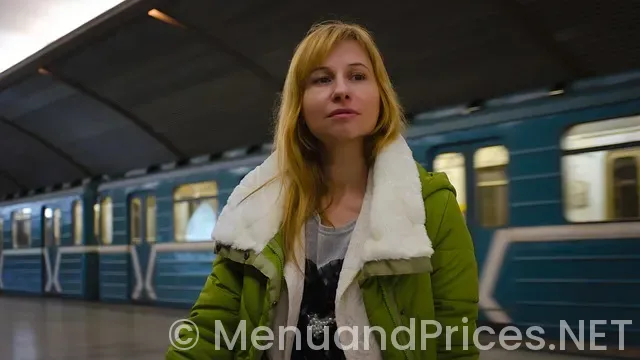 Metro diner bissell breakfast