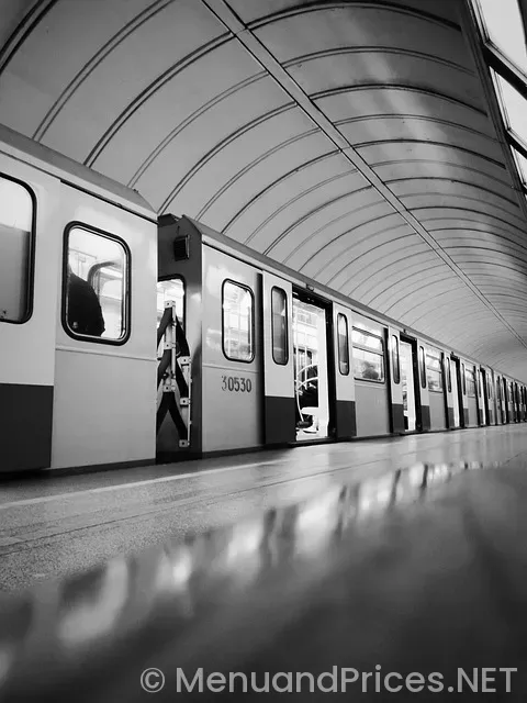 Metro diner pooler ga menu