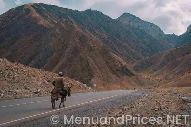 Mike’s mountain pizza menu