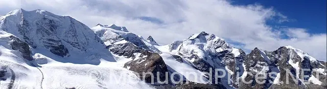 Mountain mike's large pizza price