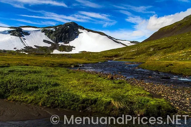 Mountain mike's prices