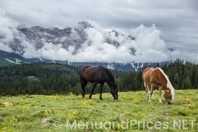 Mountain mike's prices