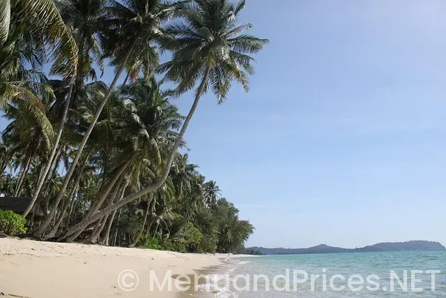 Nathon pier koh samui thailand