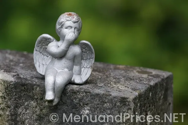 Neurological supplements for dogs