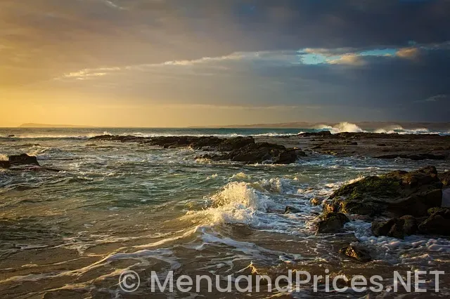 Ocean prime restaurant tampa menu