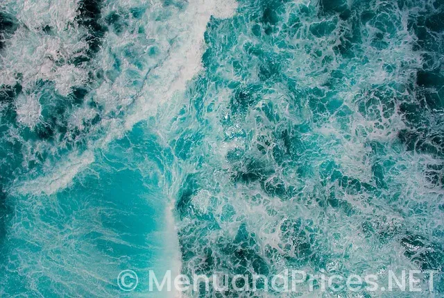 Ocean prime sarasota menu