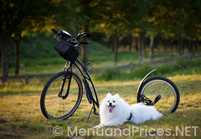 Personal injury attorney baton rouge