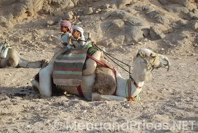 We care desert hot springs ca