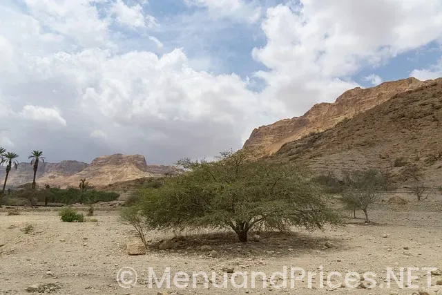 We care desert hot springs ca