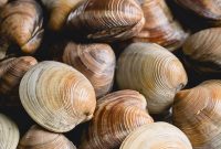 Prep Little Neck Clams Like a Pro