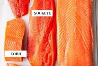 From Pink to King Exploring the Diverse World of Salmon