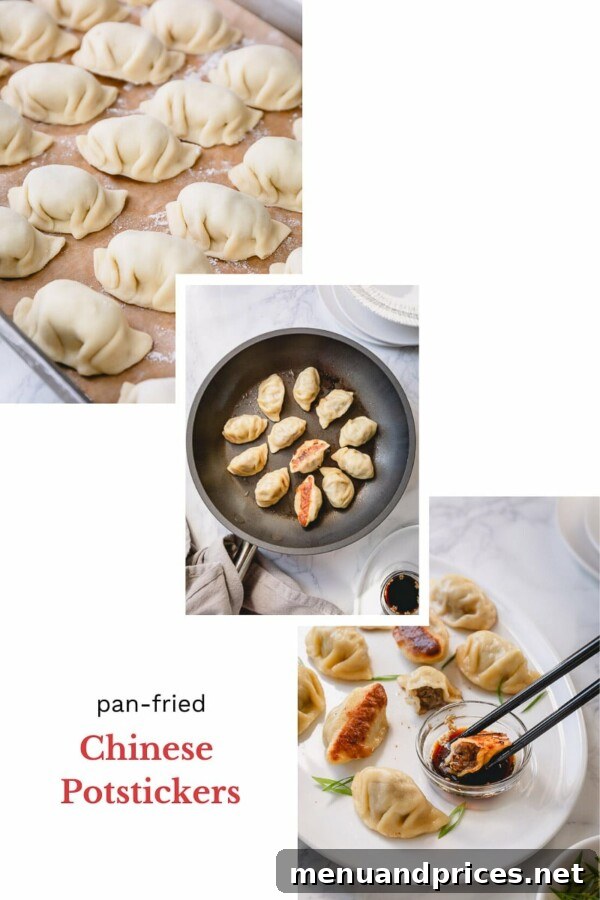 Crafting Irresistible Beef Potstickers 6 Ingredients laid out for making beef dumplings