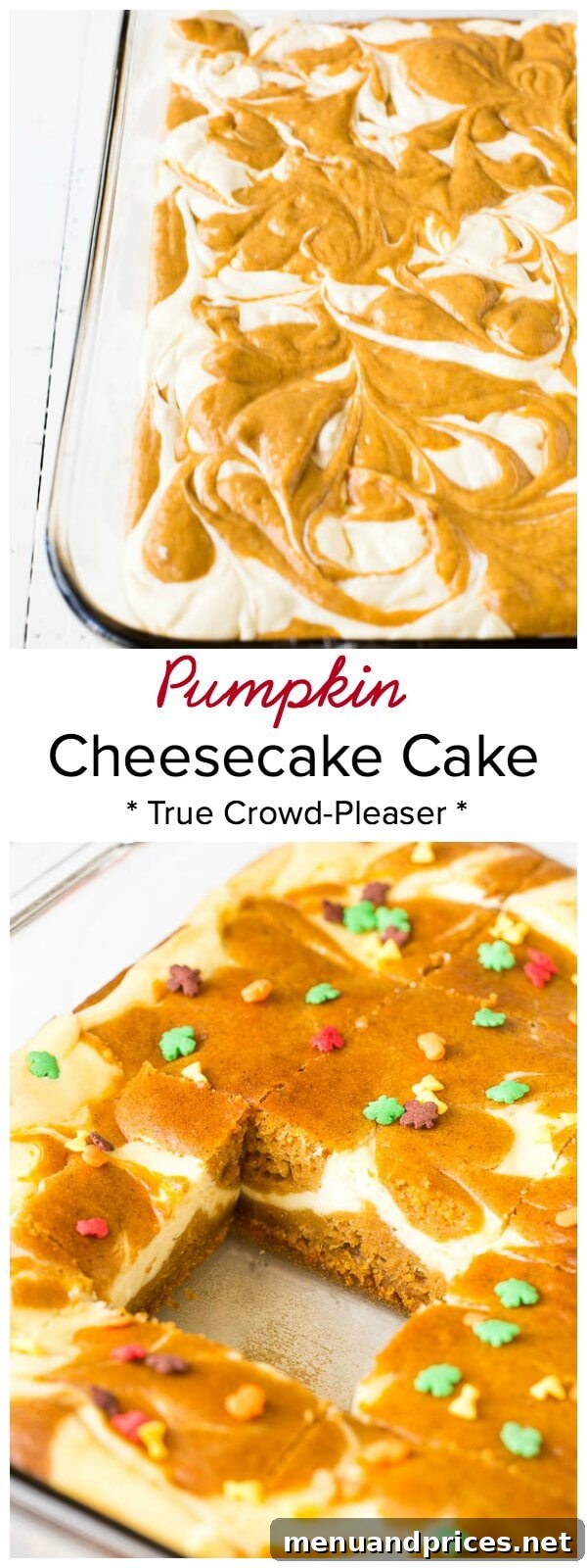 Incredibly delicious marbled pumpkin cheesecake cake - your next new favorite dessert this season! Perfect for potlucks, holiday gatherings, and well, just because!