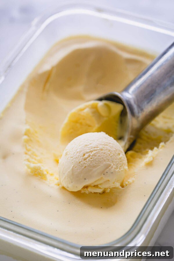 Dreamy Homemade Vanilla Ice Cream 2 Vanilla ice cream stored in a plastic tub, accompanied by an ice cream scoop, showcasing its inviting texture.