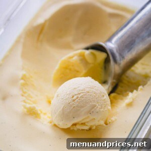 Dreamy Homemade Vanilla Ice Cream 13 vanilla ice cream in plastic tub and ice cream scoop.