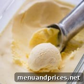 Dreamy Homemade Vanilla Ice Cream 14 vanilla ice cream in plastic tub and ice cream scoop.