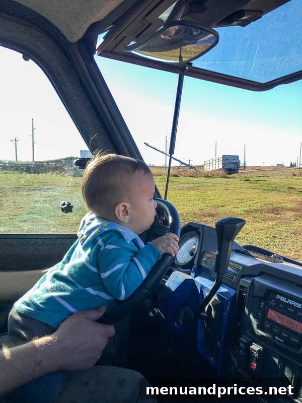 Baby Grant: 10 and 11 Month Milestones 3 Grant exploring outdoors on the ranch in bright sunshine during a warm November day.