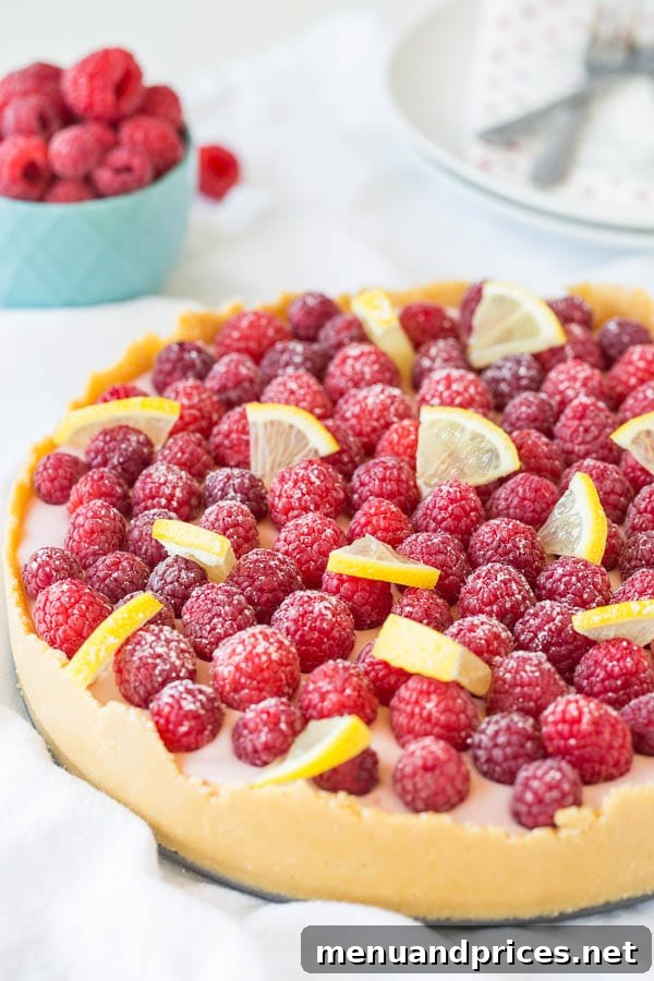 Zesty Berry No-Bake Cheesecake Bliss 8 A whole lemon raspberry no-bake cheesecake, elaborately decorated with fresh raspberries and lemon slices, showing another beautiful presentation option.