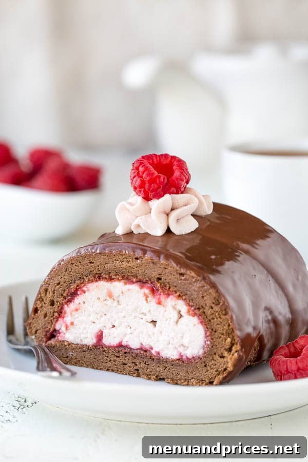 Decadent Chocolate Raspberry Roulade 4 Incredibly light and moist chocolate roll cake with raspberry mousse filling. I can't pick which part is better, but I know together they make one irresistible dessert!