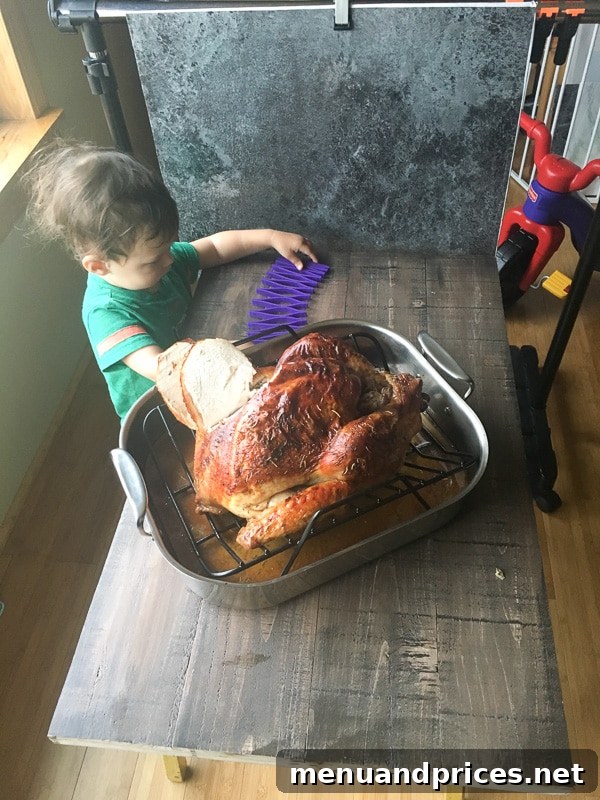 Culinary Chaos with a Curious Kid 8 Toddler boy Grant playfully interacting with a colorful trivet, seemingly more interested in it than the large roasted Thanksgiving turkey beside him
