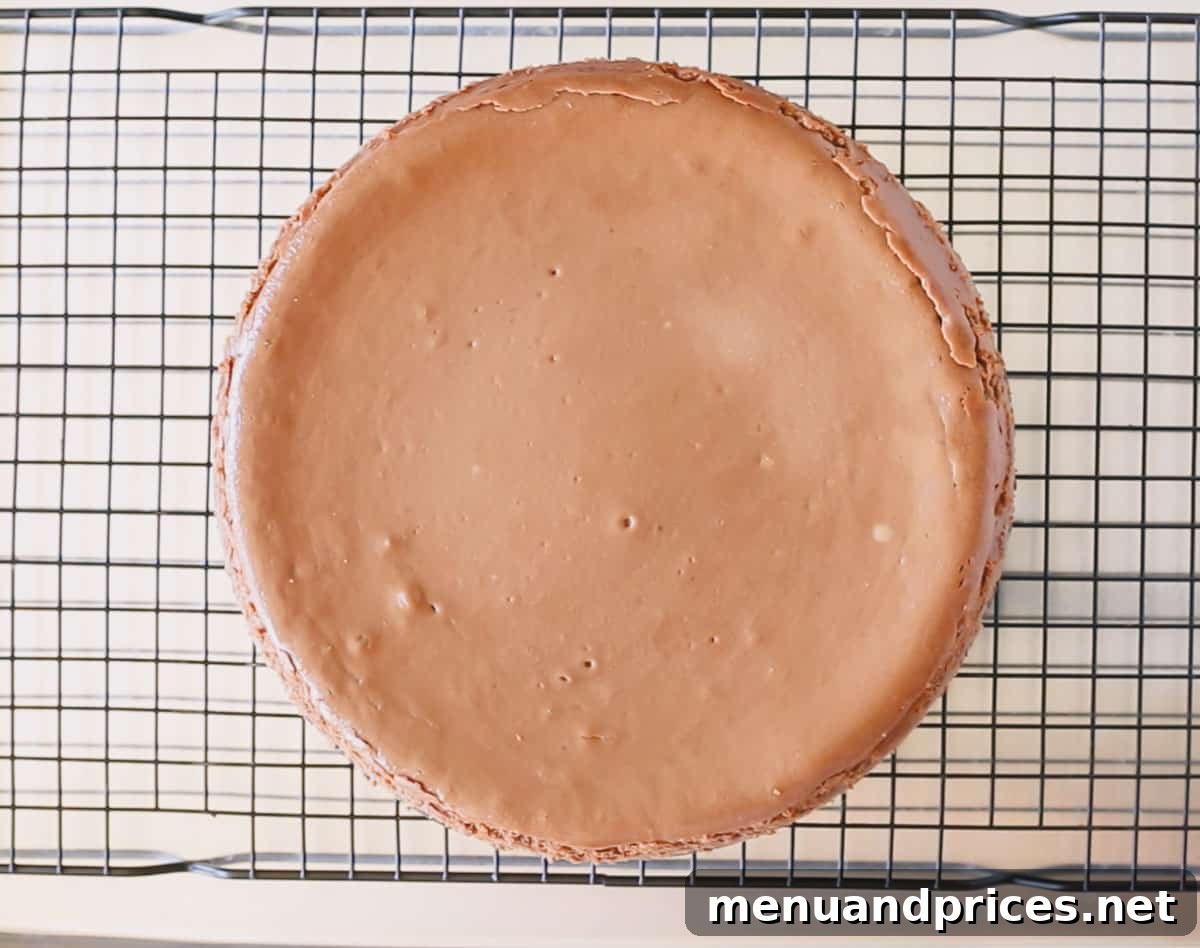 Velvet Chocolate Heaven Cheesecake 8 A freshly baked chocolate cheesecake on a wire rack, with the springform pan removed, showing its smooth surface.
