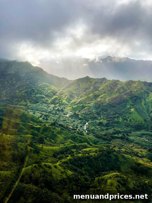 Kauai Through Toddler Eyes 14 Kauai aerial view 2