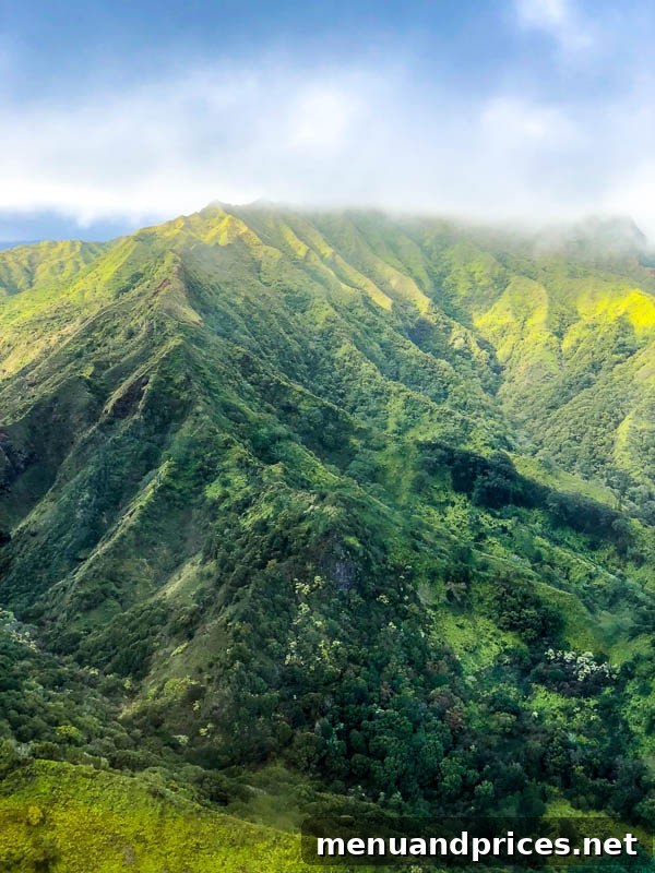 Kauai Through Toddler Eyes 16 Kauai aerial view 4