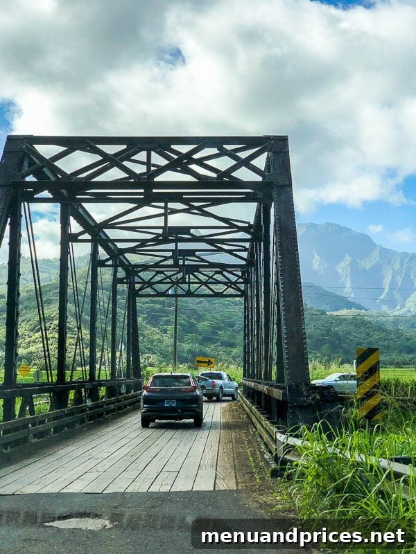 Kauai Through Toddler Eyes 17 North Shore scenic drive 1