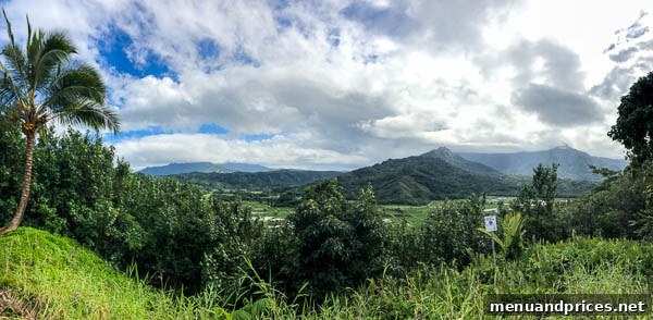 Kauai Through Toddler Eyes 18 North Shore scenic drive 2