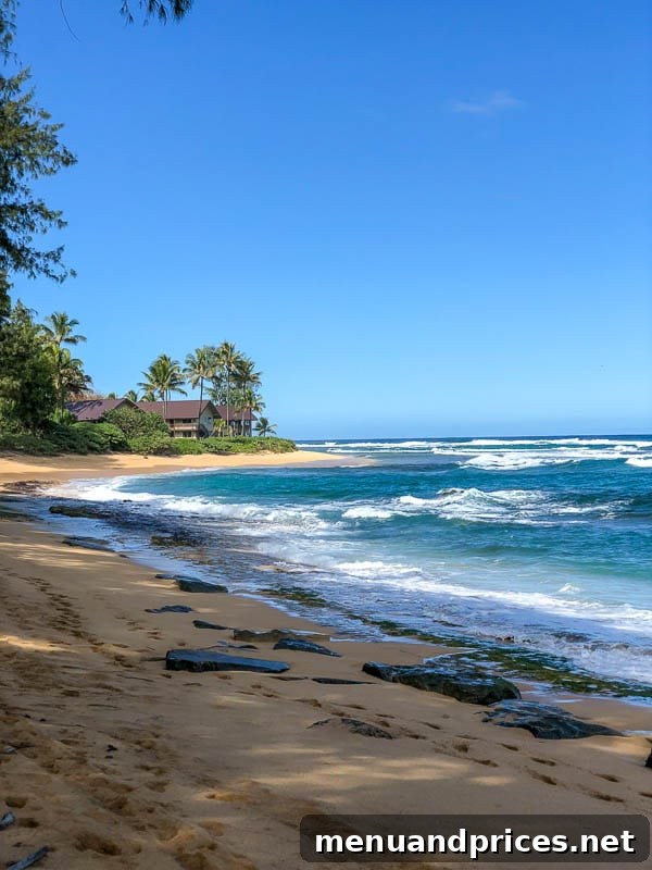 Kauai Through Toddler Eyes 20 North Shore beach view 2