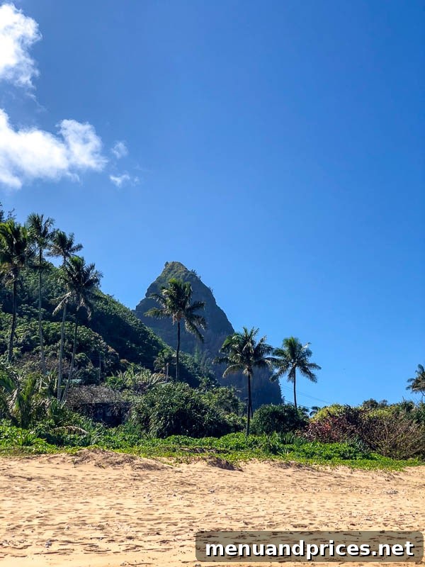 Kauai Through Toddler Eyes 21 North Shore beach view 3