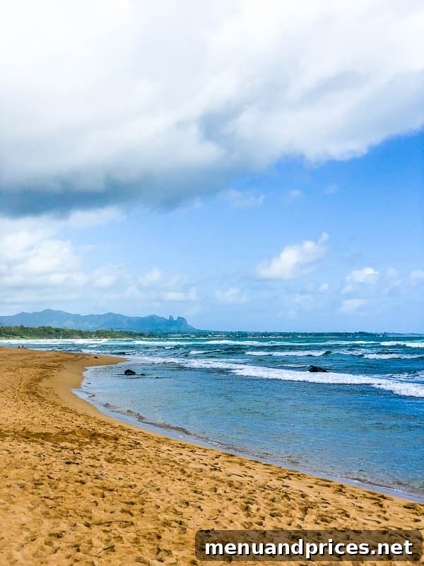 Kauai Through Toddler Eyes 27 North Shore family on beach