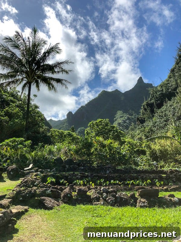Kauai Through Toddler Eyes 30 Limahuli Garden plants 2