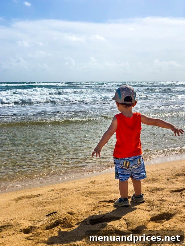 Kauai Through Toddler Eyes 41 Random Kauai photo 4