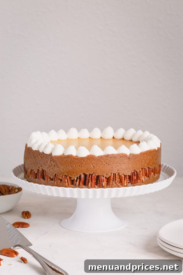 Pecan Praline Cheesecake 2 Indulgent Pecan Pie Cheesecake with a buttery nutty crust, tall New York-style cheesecake, and rich pecan pie topping - perfect for holidays.