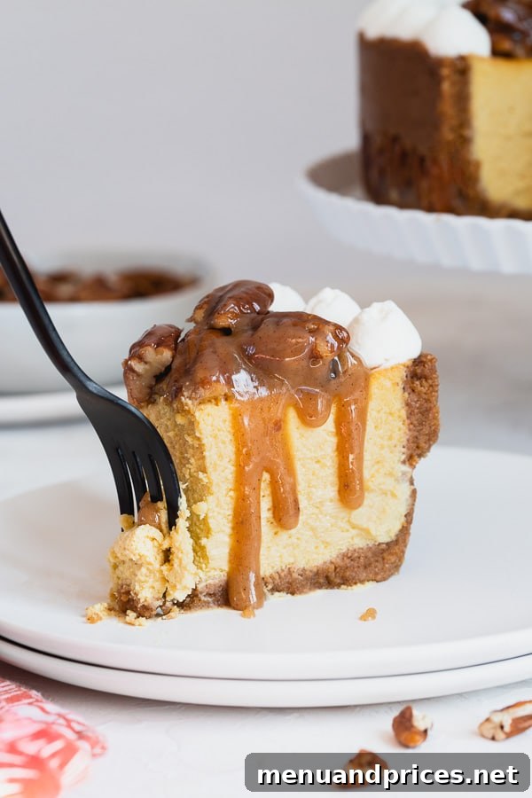 Pecan Praline Cheesecake 10 The ultimate holiday dessert: a rich, decadent Pecan Pie Cheesecake, perfectly baked and garnished.