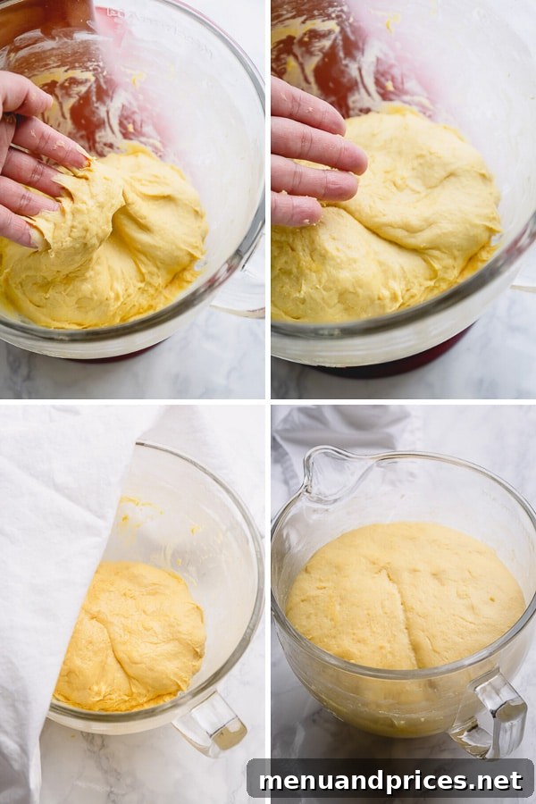 Fluffy Homemade Jelly Doughnuts 6 Light as air, these homemade jelly donuts, also known as Berliners, are pure magic! They're so fluffy, so light and not too sweet! Let me show how to make these treats, step by step. #jellydonuts #donuts #bestdonuts #doughnuts