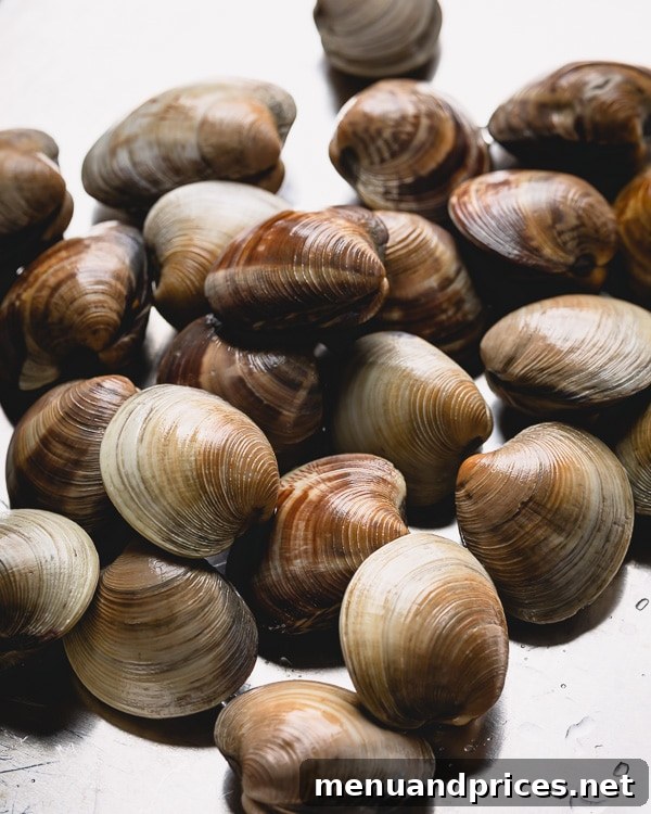 Prep Little Neck Clams Like a Pro 2 Learn how to clean little neck clams and degrit clams for your next soup, salad, or pasta dish. #littleneckclams #shortneckclams #tutorial #clams #seafood