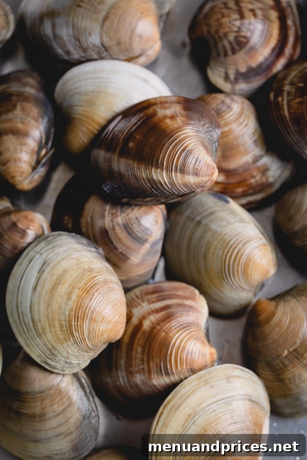 Prep Little Neck Clams Like a Pro 6 Learn how to clean little neck clams and never have gritty clams again! A little bit of soaking in water will easily degrit clams for your next soup, salad, or pasta dish. #littleneckclams #shortneckclams #tutorial #clams #seafood
