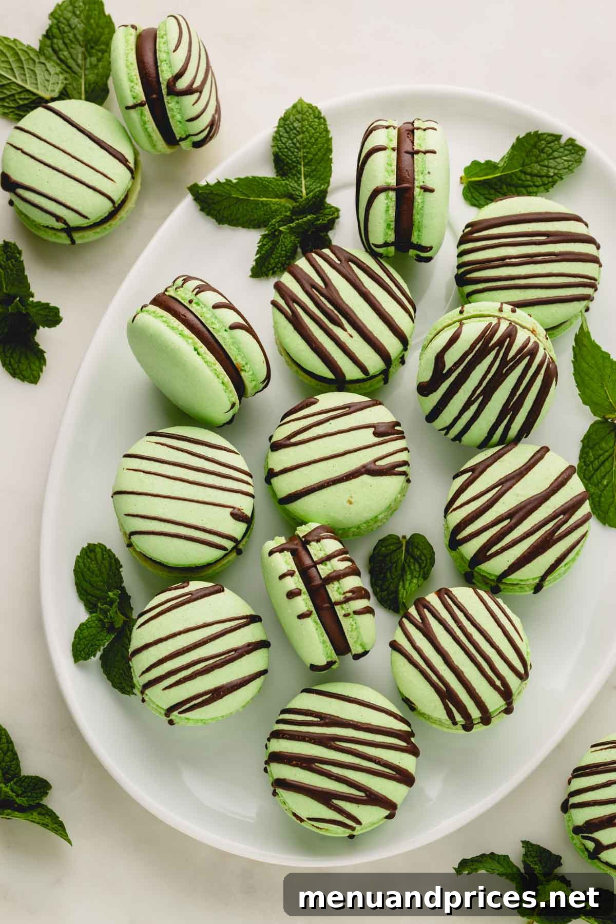 Minty Cocoa Macaron Bliss 23 An inviting display of perfectly matured mint chocolate macarons, ready to be enjoyed, showcasing their smooth shells and delicious filling.