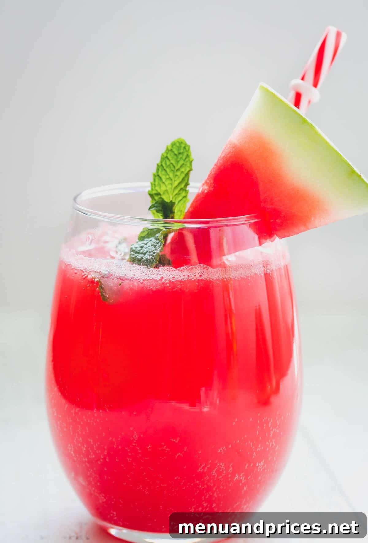 Watermelon Mint Chill 2 A tall glass filled with Minty Watermelon Fizz, garnished with fresh mint and a slice of watermelon.