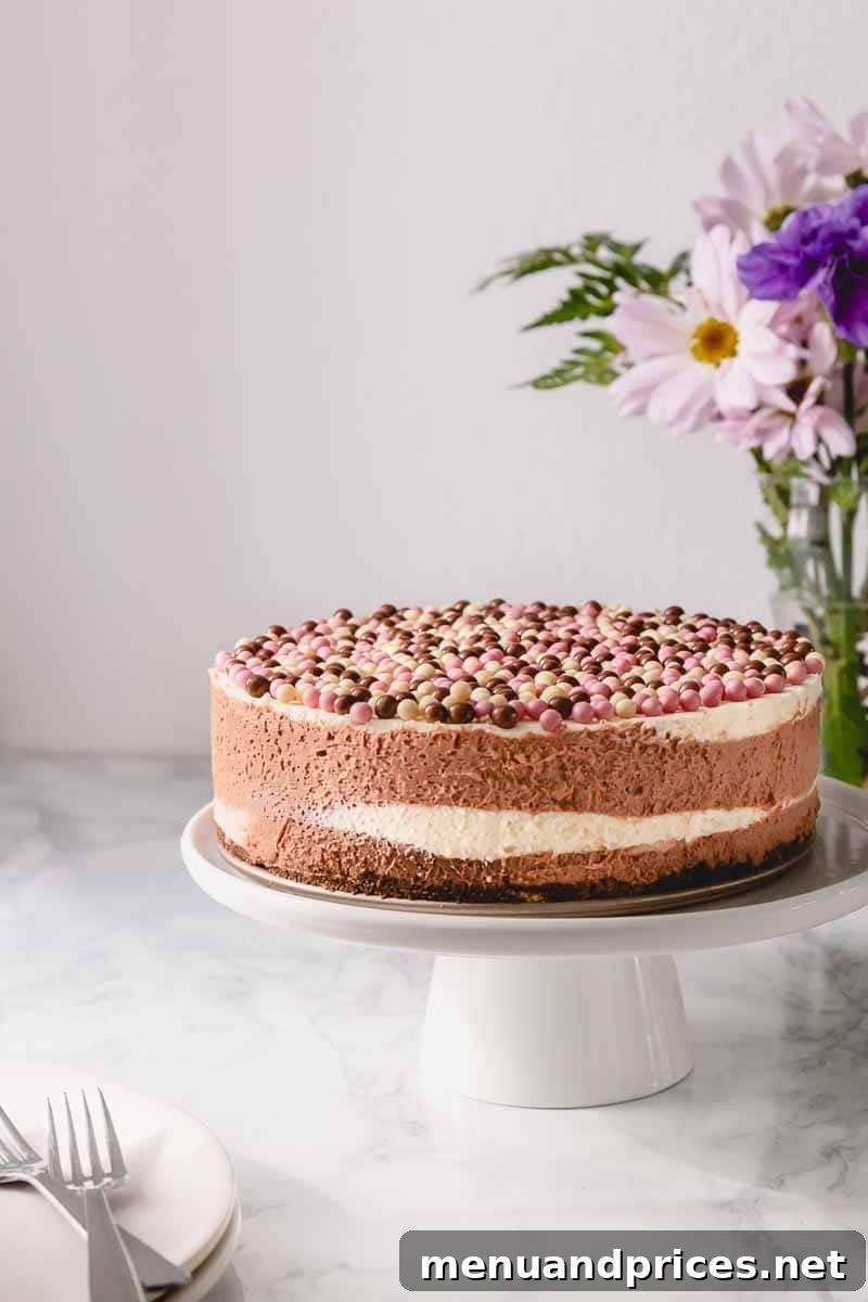 Dreamy No Bake Neapolitan Cheesecake 8 A freshly assembled Neapolitan cheesecake in a springform pan, showing the raw, distinct layers before chilling.