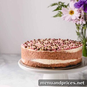 No-Bake Neapolitan Cheesecake with smooth, distinct layers.