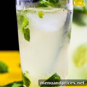 A refreshing Coconut Mojito cocktail served in a glass with a lime slice and mint garnish.
