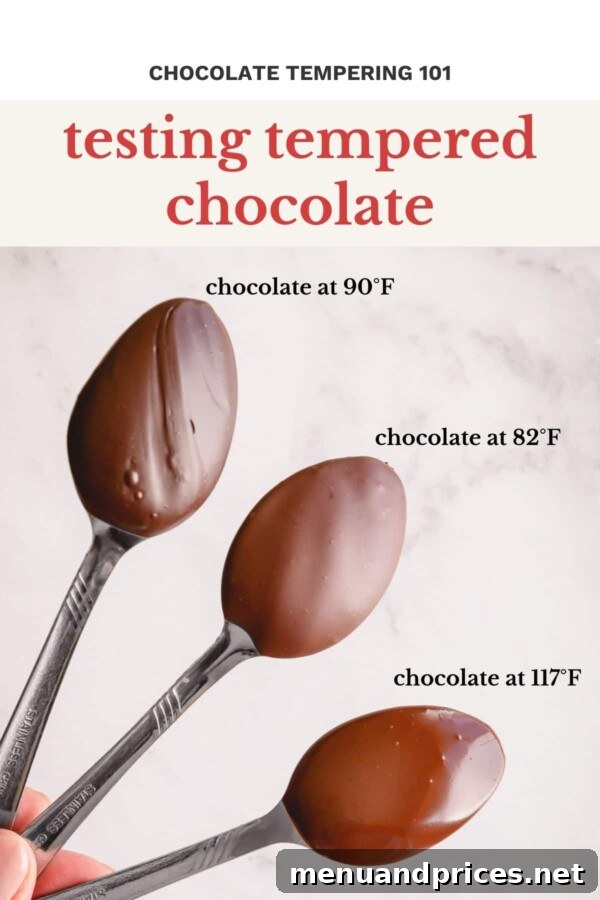 Three spoons dipped in chocolate, demonstrating the varying finishes of properly tempered, dull/almost tempered, and simply melted chocolate.